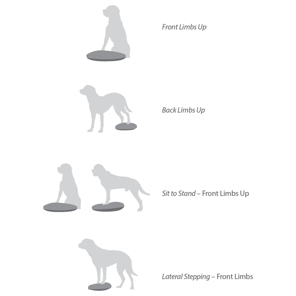 FitPAWS Lemmikin tasapainoalusta 56 cm sininen