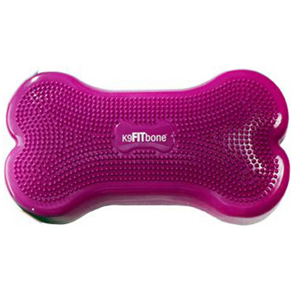 FitPAWS Lemmikin tasapainoalusta K9FITbone 58x29x10 cm fuksia