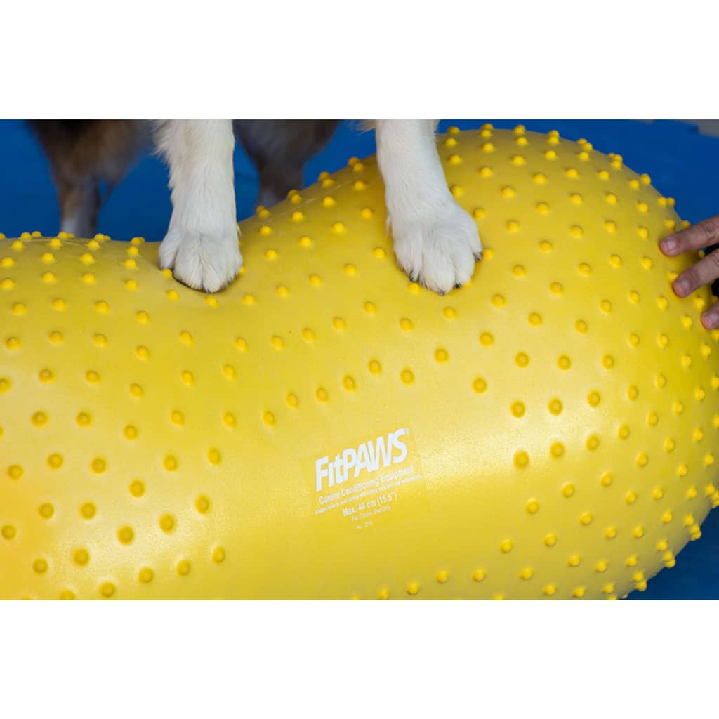 FitPAWS Lemmikin tasapainoalusta Trax Peanut 40 cm keltainen