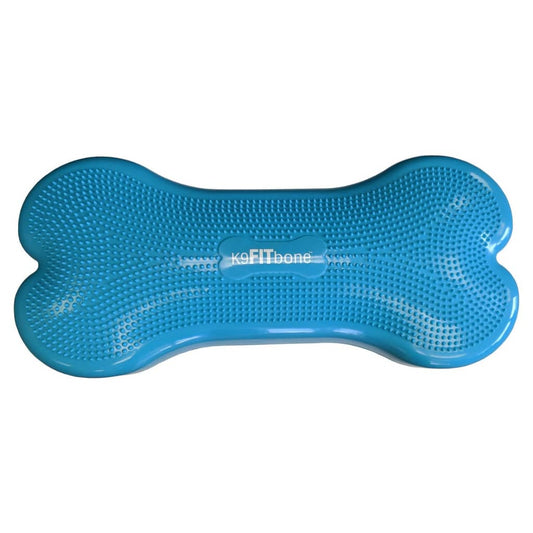 FitPAWS Lemmikin tasapainoalusta Giant K9FITbone PVC vedensininen