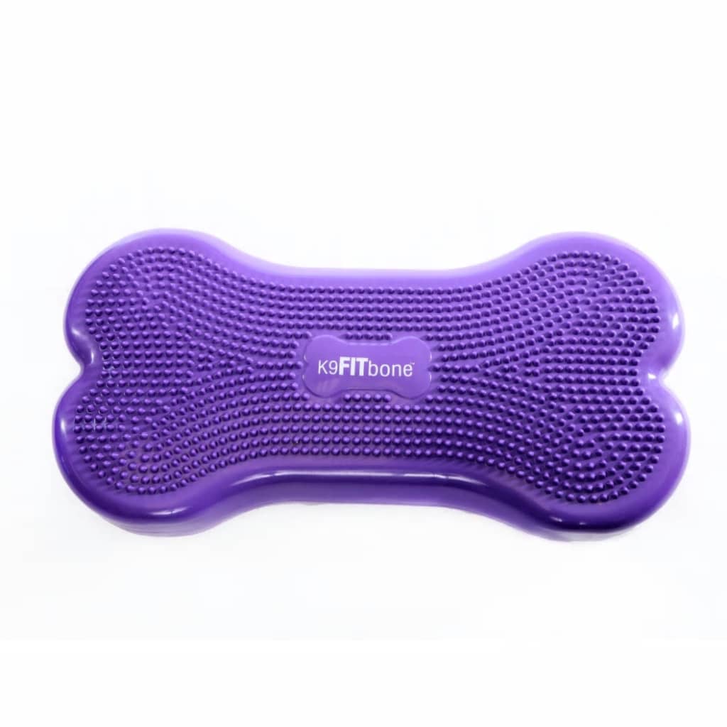 FitPAWS Lemmikin tasapainoalusta Giant K9FITbone PVC violetti