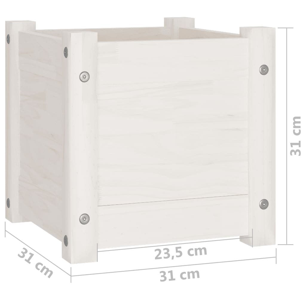 Garden flower box white 31x31x31 cm solid pine