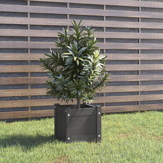 Garden flower box grey 31x31x31 cm solid pine