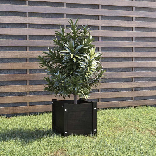 Garden flower box black 31x31x31 cm solid pine