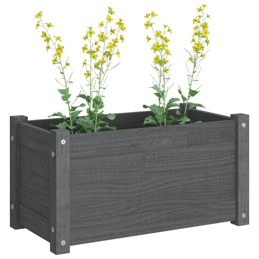 Garden flower box grey 60x31x31 cm solid pine