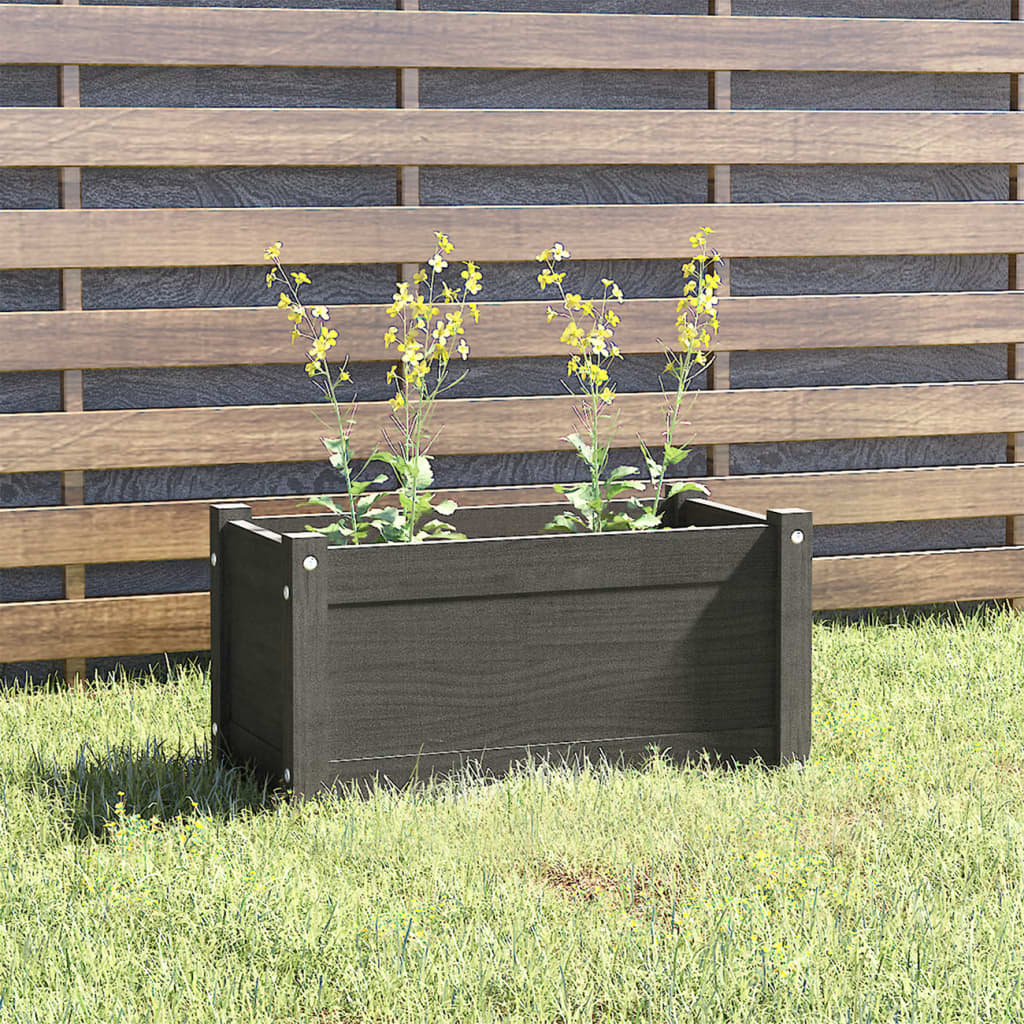 Garden flower box grey 60x31x31 cm solid pine