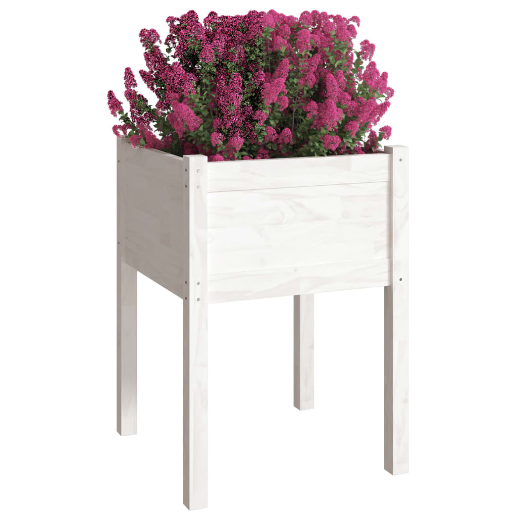 Garden flower box white 50x50x70 cm solid pine