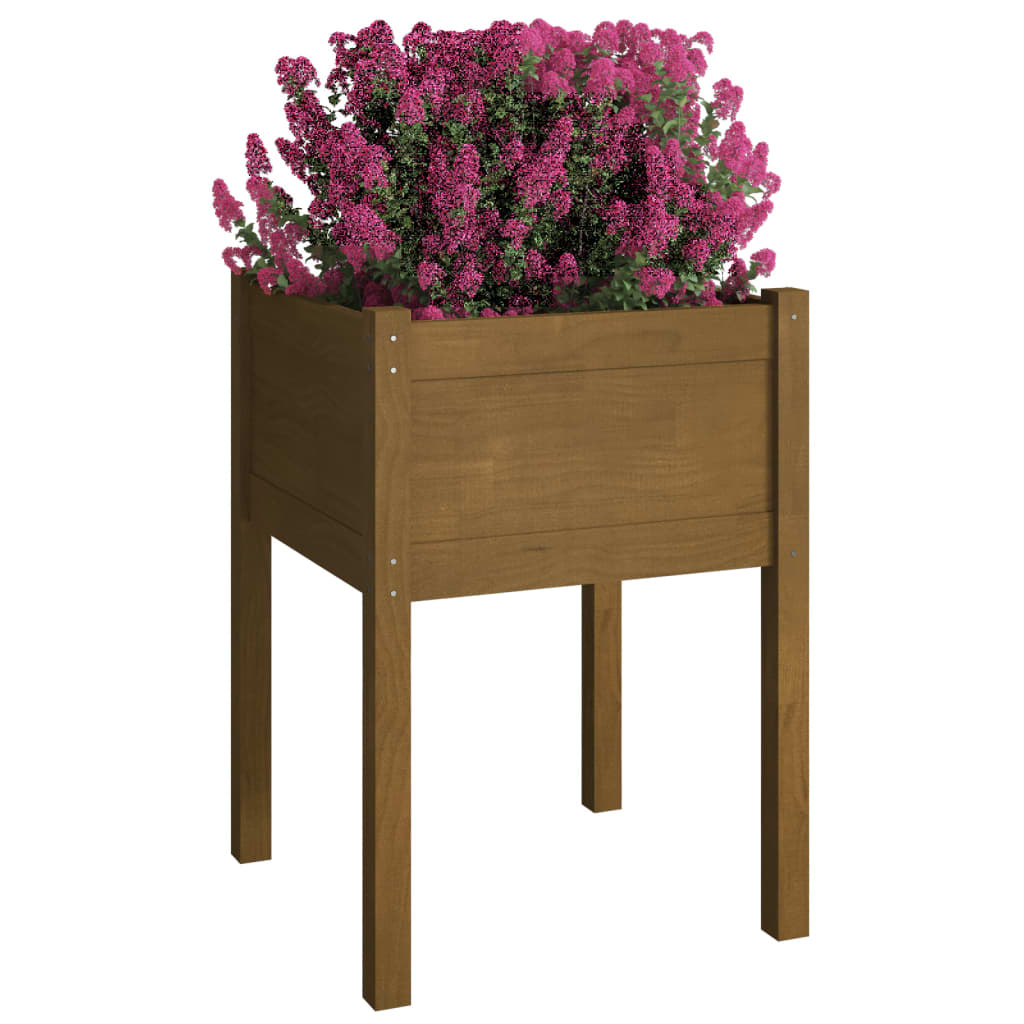 Garden flower box honey brown 50x50x70 cm solid pine