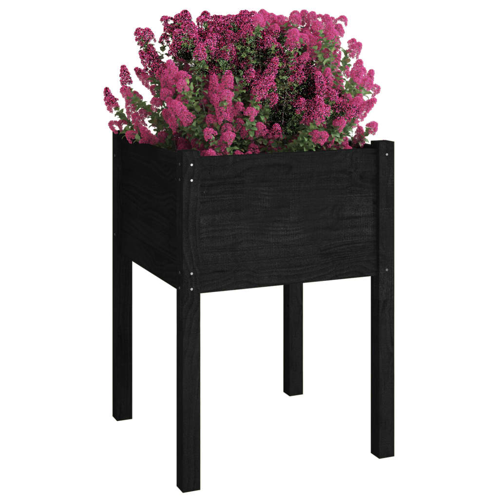 Garden flower box black 50x50x70 cm solid pine