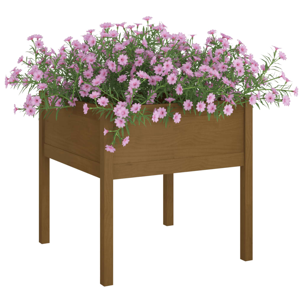 Garden flower box honey brown 70x70x70 cm solid pine