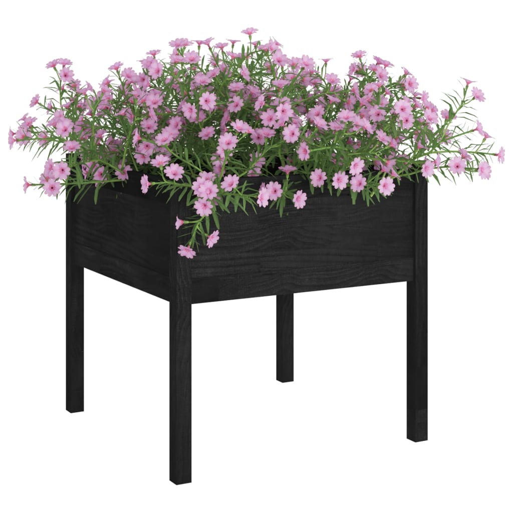 Garden flower box black 70x70x70cm solid pine