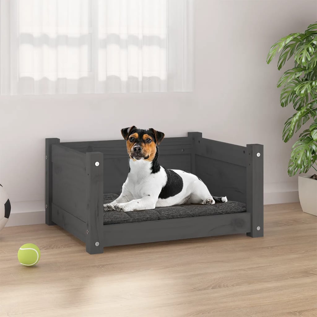 Dog bed gray 55.5x45.5x28 cm solid pine