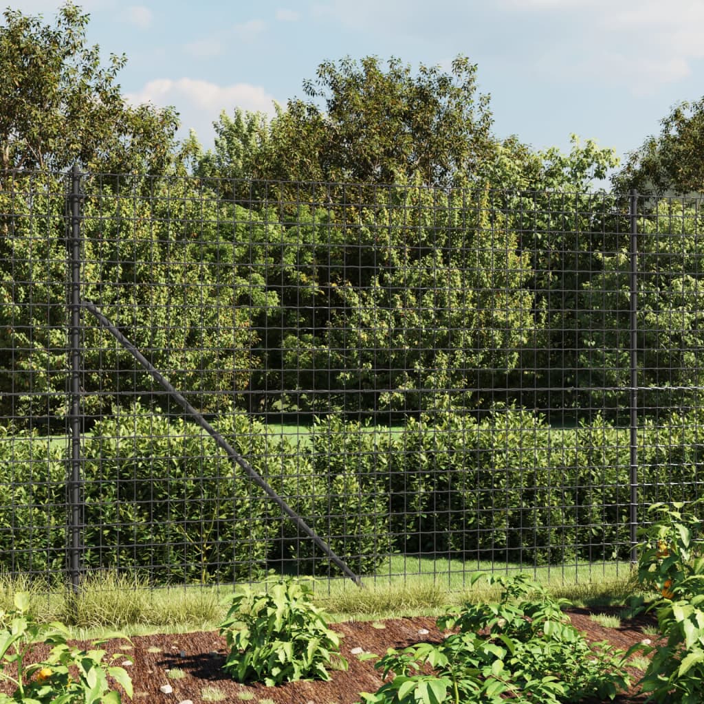 Chain link fence with spikes anthracite 2x25 m