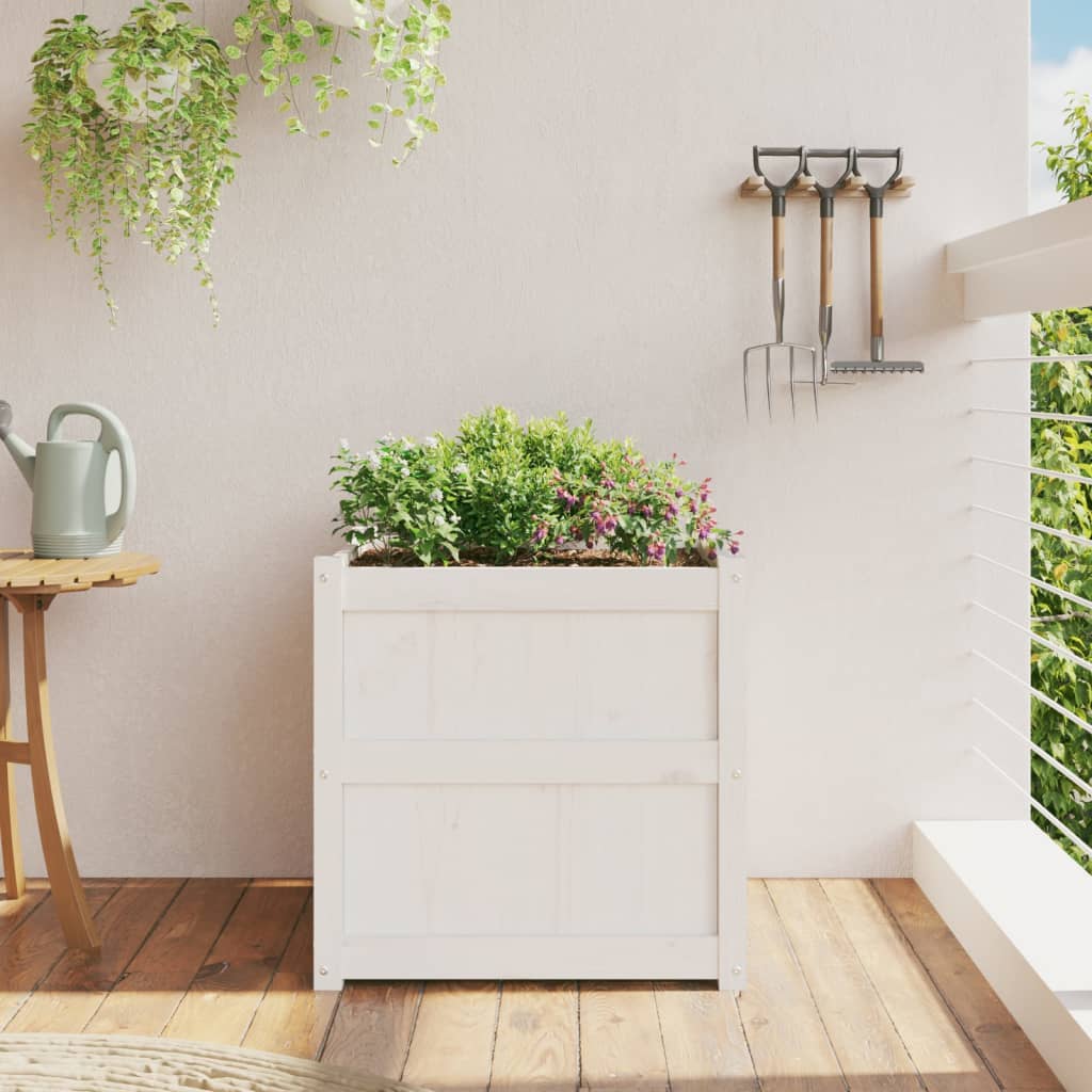 Garden flower box white 60x60x60 cm solid pine