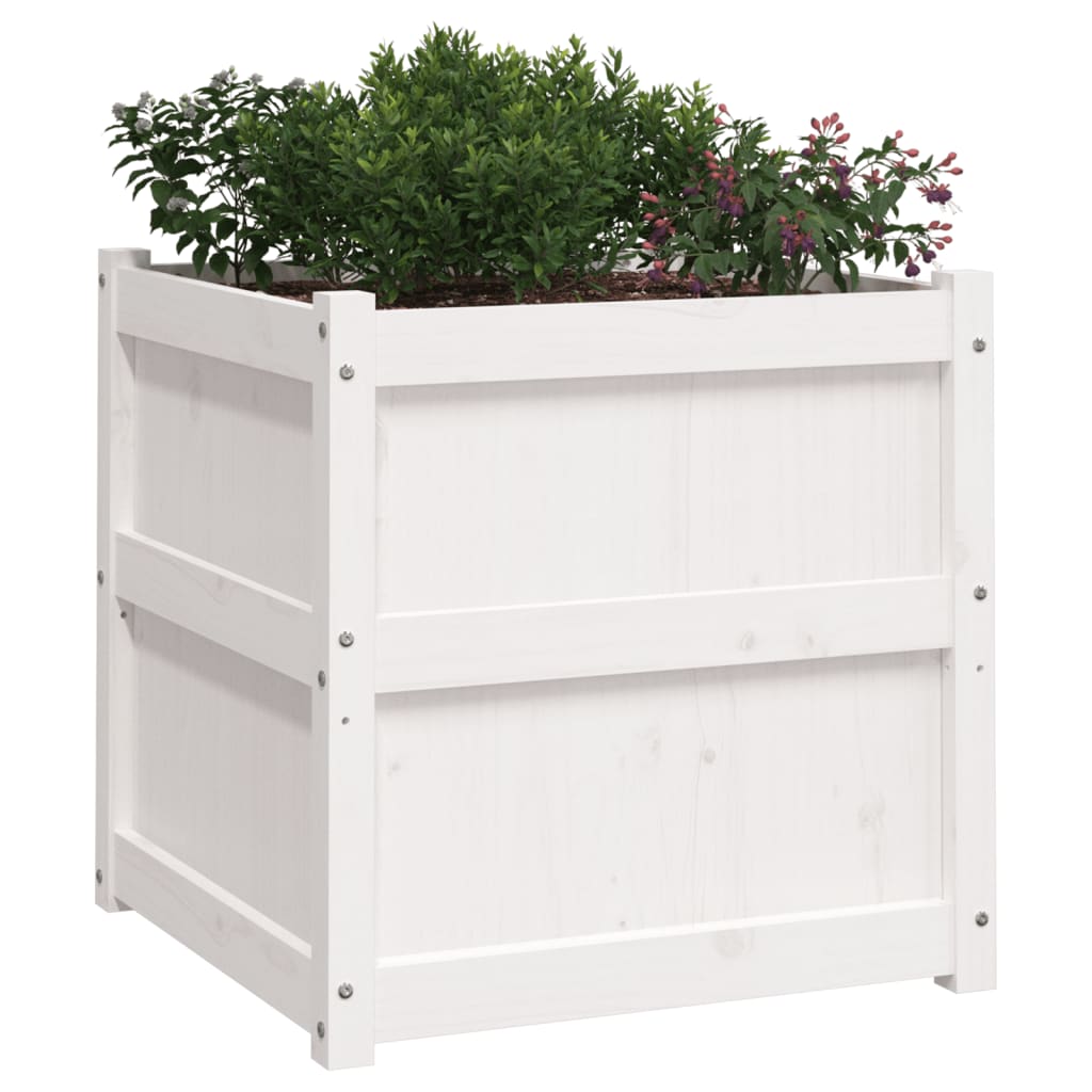 Garden flower box white 60x60x60 cm solid pine