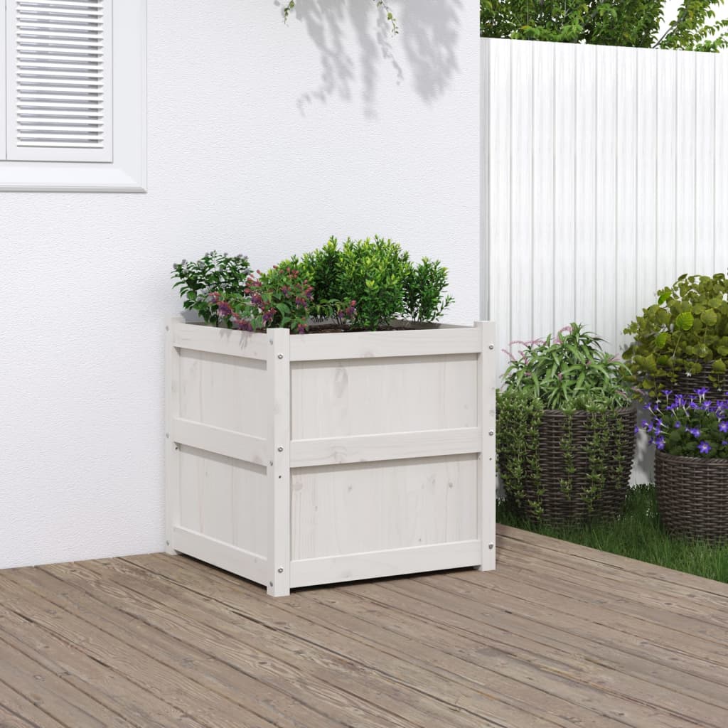 Garden flower box white 60x60x60 cm solid pine