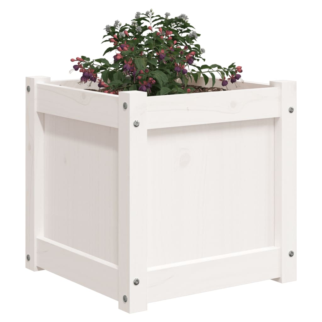 Garden flower box white 40x40x40 cm solid pine