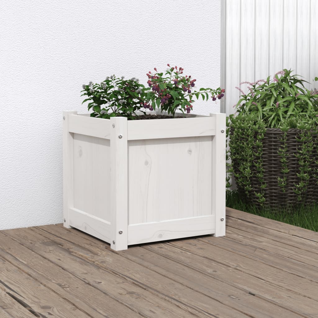 Garden flower box white 40x40x40 cm solid pine