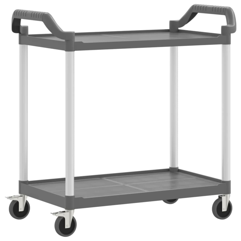 2-stufiger Trolley grau 99x50x97 cm Aluminium