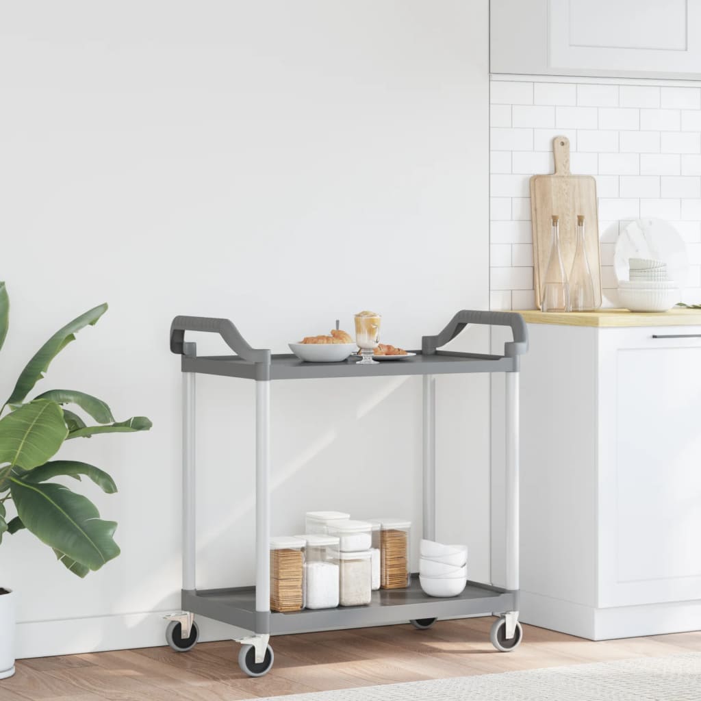 2-stufiger Trolley grau 99x50x97 cm Aluminium