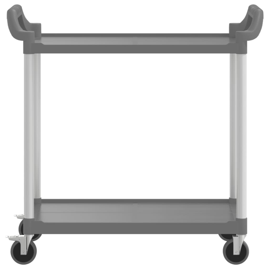 2-stufiger Trolley grau 99x50x97 cm Aluminium