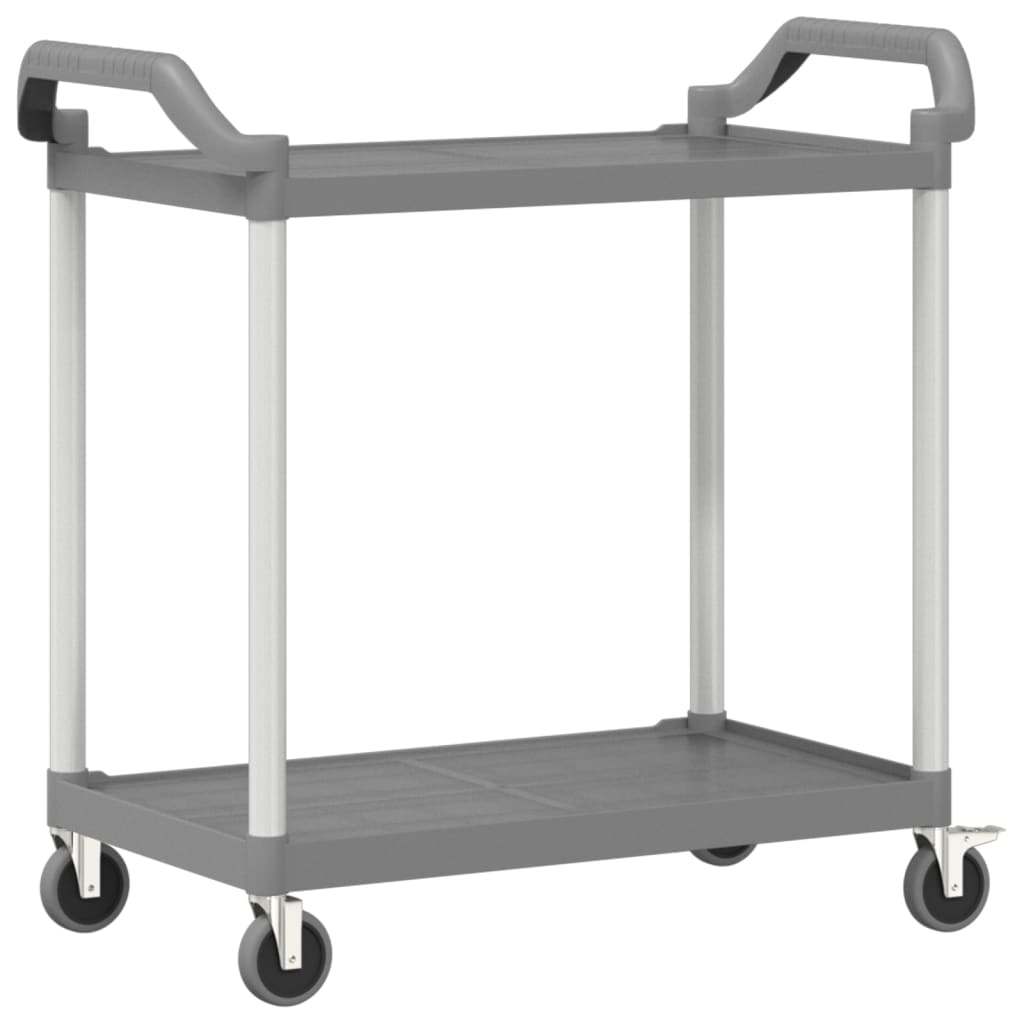 2-stufiger Trolley grau 99x50x97 cm Aluminium