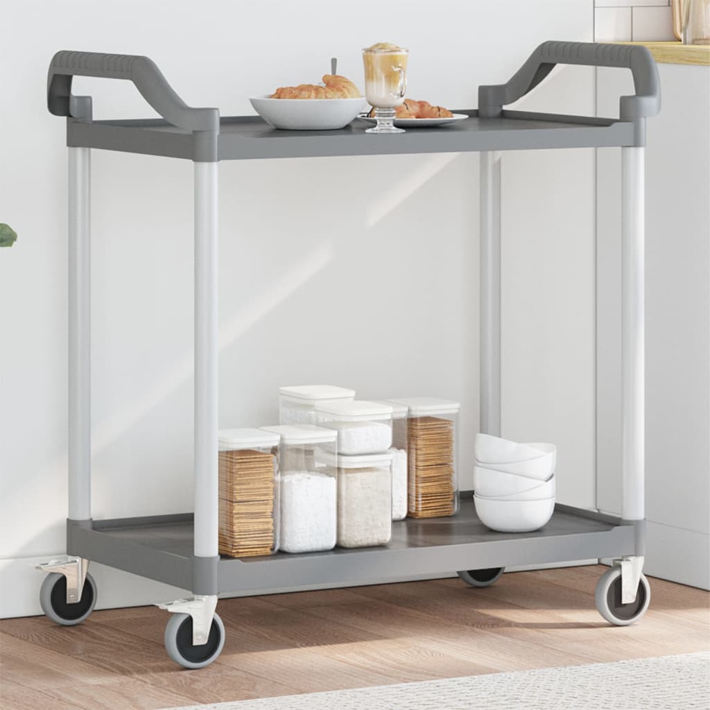 2-stufiger Trolley grau 99x50x97 cm Aluminium