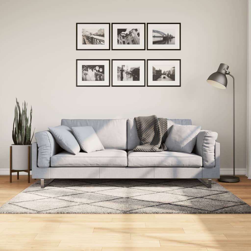 Pörrömatto PAMPLONA korkeanukka moderni beige/antras 120x170 cm