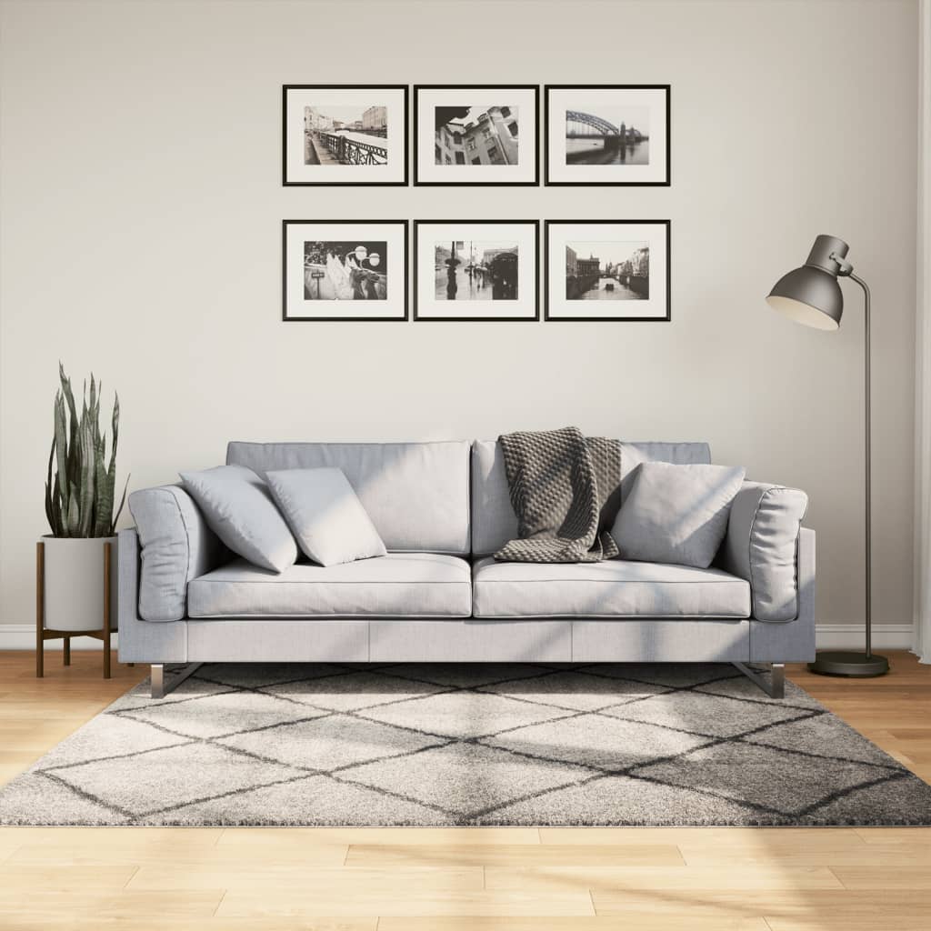 Pörrömatto PAMPLONA korkeanukka moderni beige/antras 160x160 cm