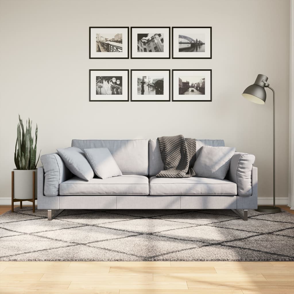 Pörrömatto PAMPLONA korkeanukka moderni beige/antras 160x230 cm