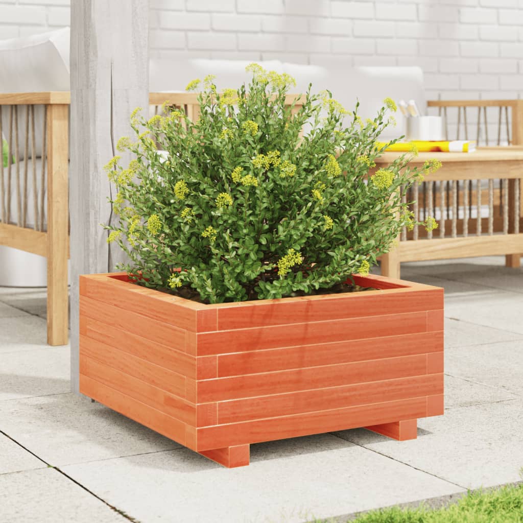 Garden flower box wax brown 50x50x26.5 cm solid pine