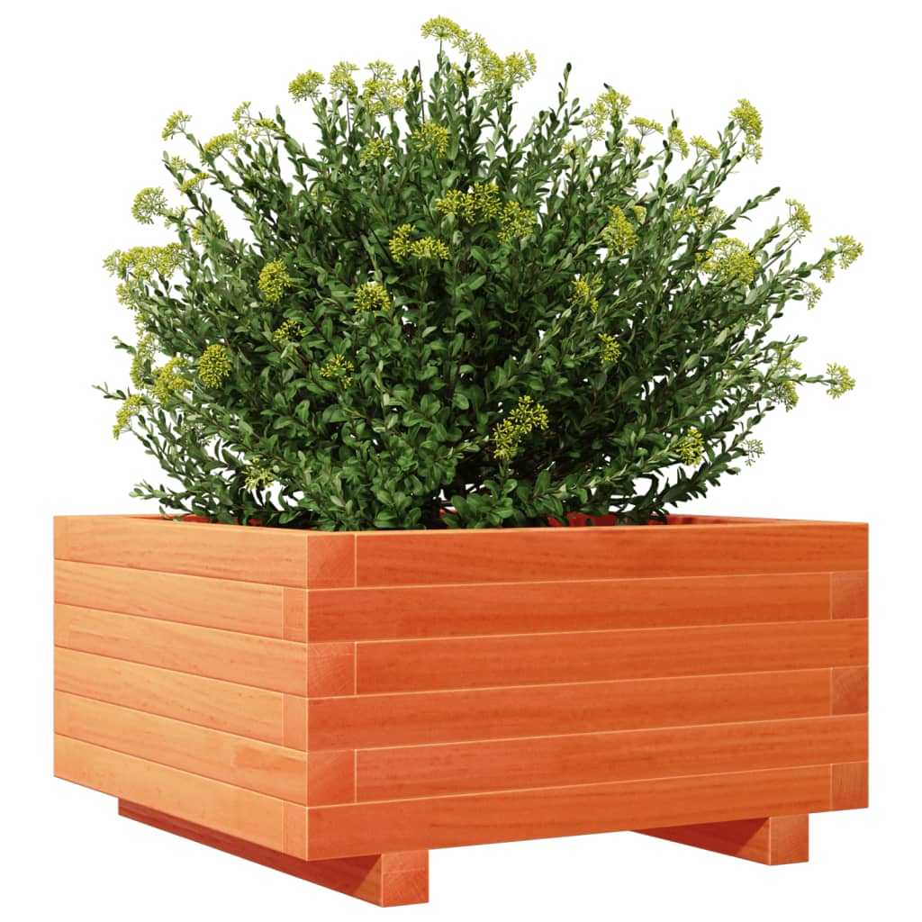 Garden flower box wax brown 50x50x26.5 cm solid pine