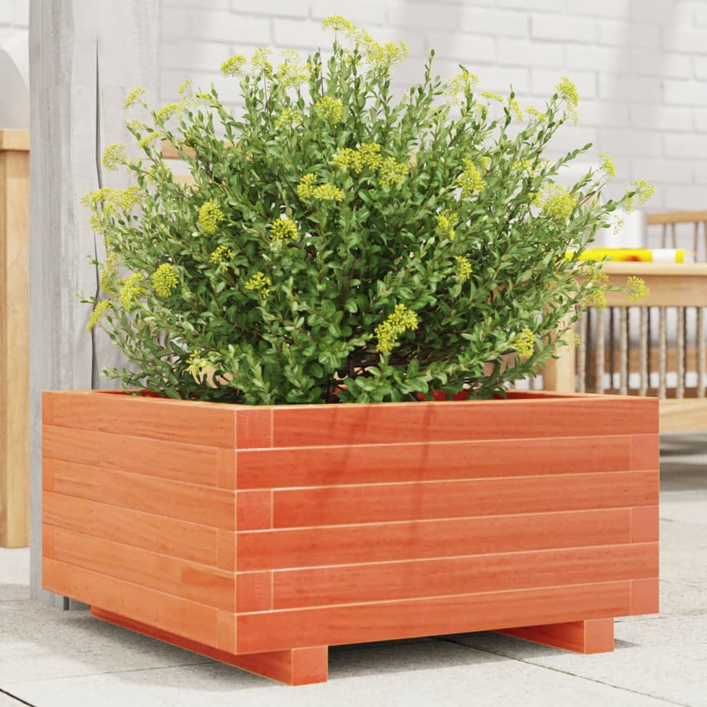 Garden flower box wax brown 50x50x26.5 cm solid pine