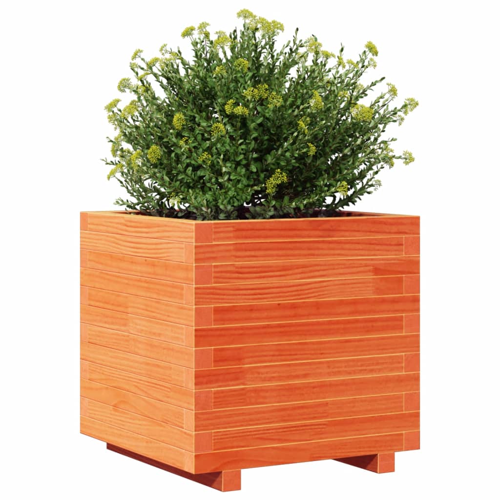 Garden flower box wax brown 50x50x49.5 cm solid pine