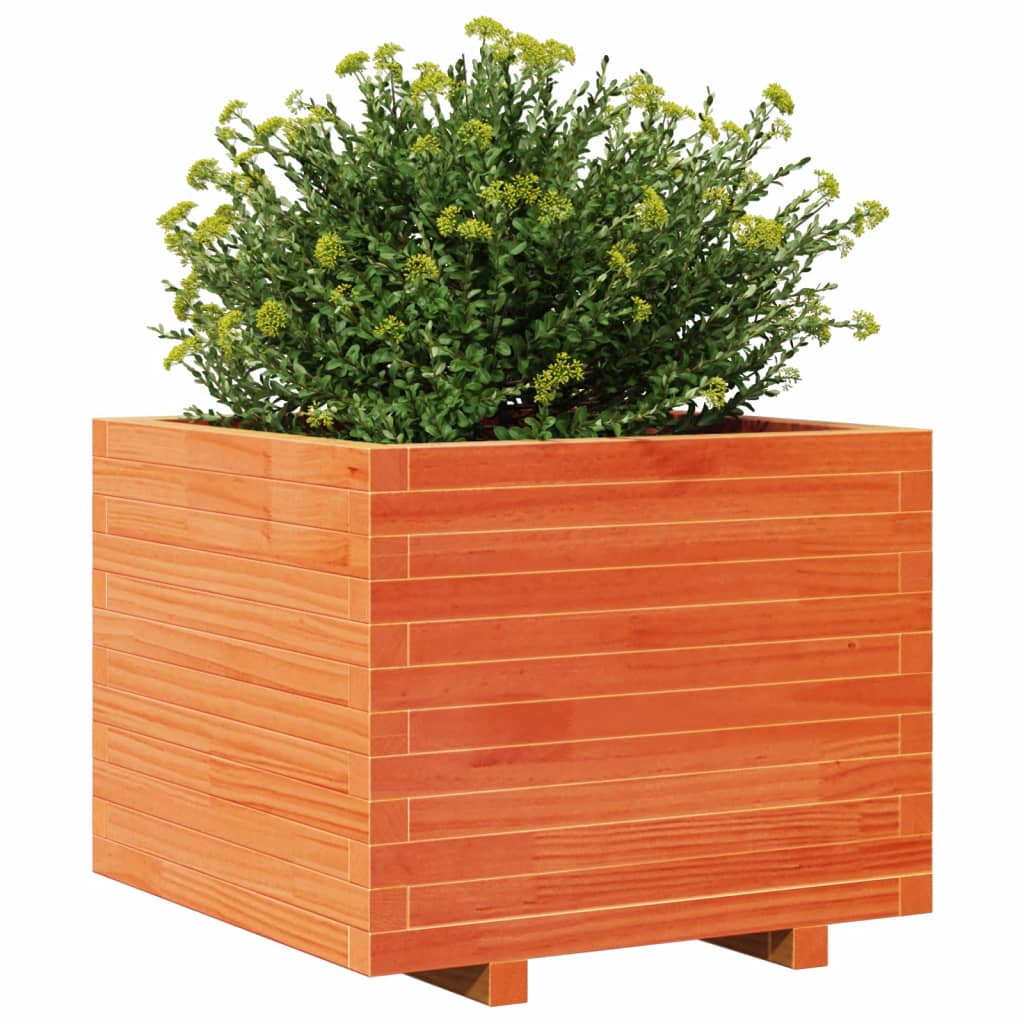 Garden flower box wax brown 60x60x49.5 cm solid pine