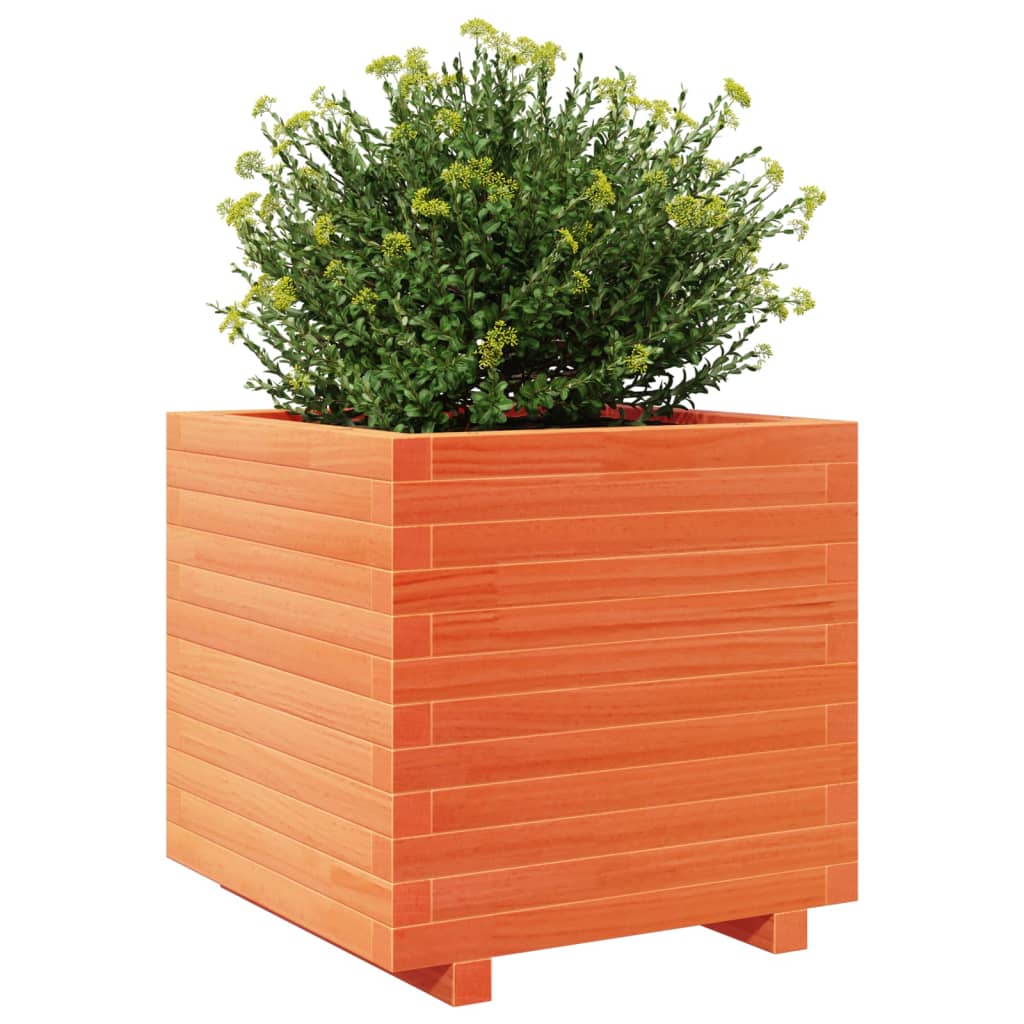 Garden flower box wax brown 50x50x49.5 cm solid pine