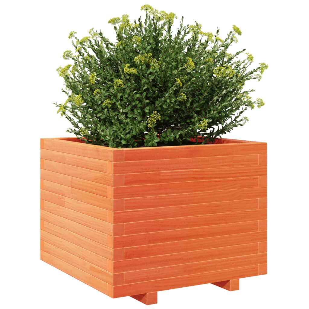 Garden flower box wax brown 60x60x49.5 cm solid pine