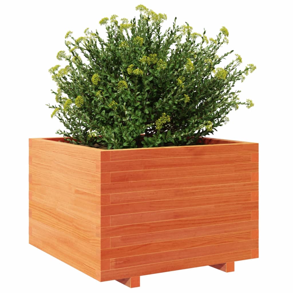 Garden flower box wax brown 70x70x49.5 cm solid pine