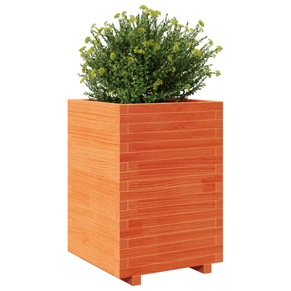 Garden flower box wax brown 50x50x72.5 cm solid pine