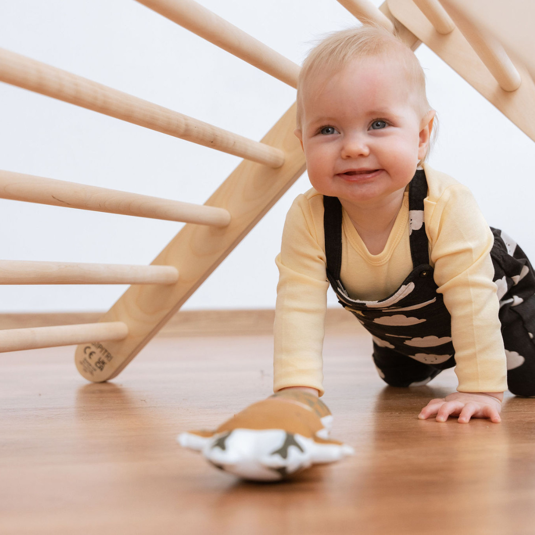 SIPITRI® 2 Segment Climbing Triangle With a Sliding/Climbing Ramp