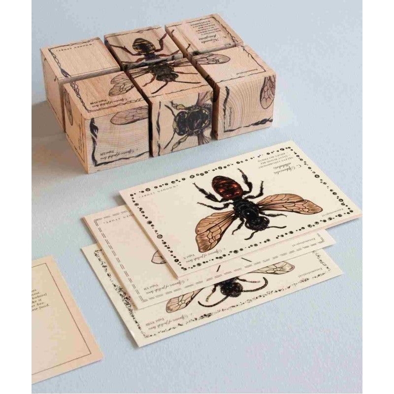 Wooden Blocks Bee Life Species