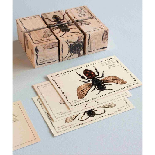 Wooden Blocks Bee Life Species