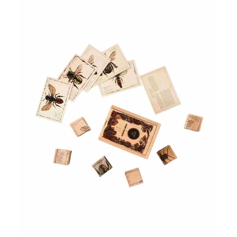 Wooden Blocks Bee Life Species