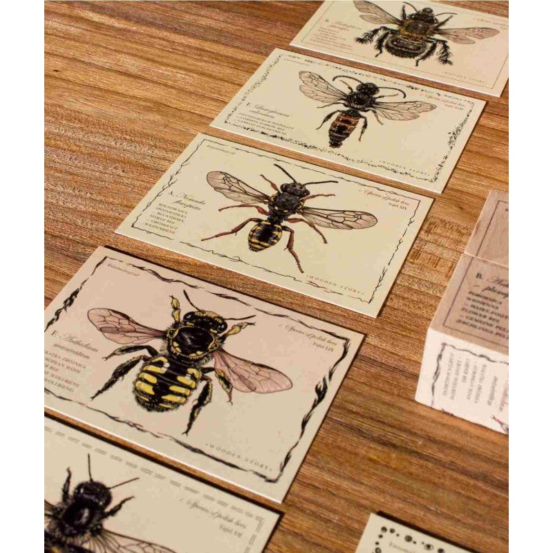 Wooden Blocks Bee Life Species