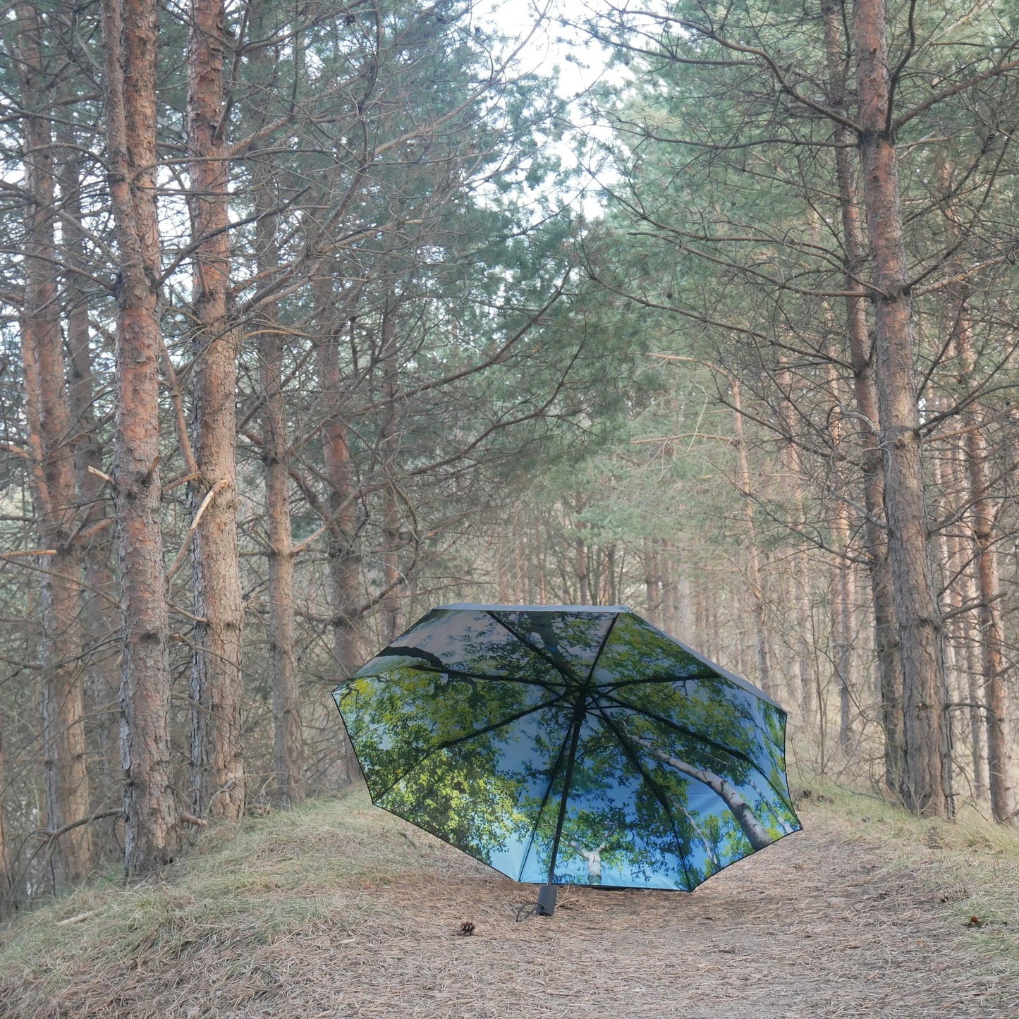 Forest Umbrella – Windproof & UPF50+ Protection