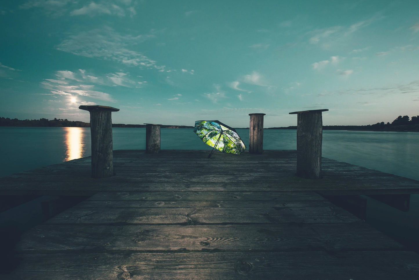 Forest Umbrella – Windproof & UPF50+ Protection