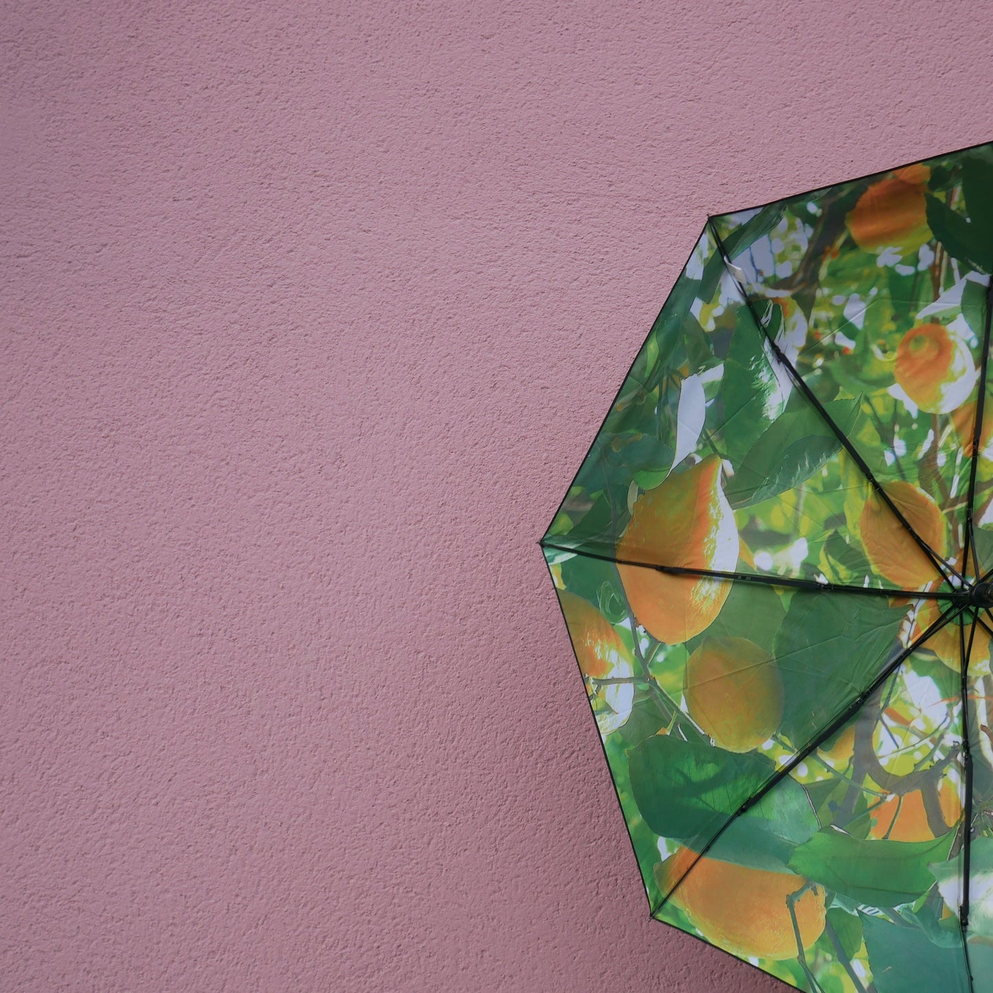 Lemon Umbrella – Windproof & UPF50+ Protection