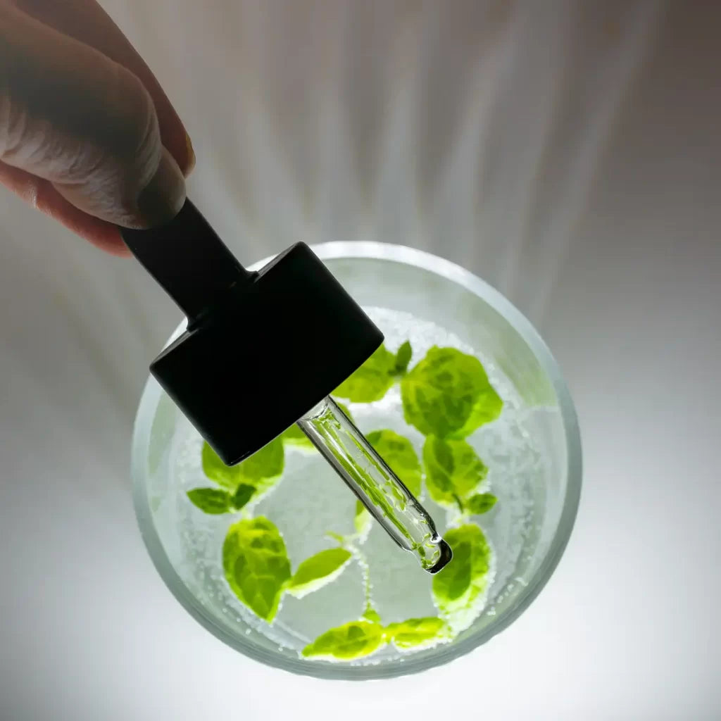 Rainforest Omegarikas kasvoöljy